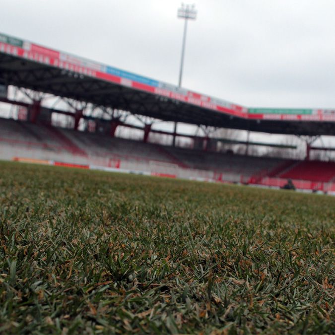 Nahaufnahme des Rasens in einem Stadion, Blickrichtung von unten auf die Spielfläche und Tribüne im Hintergrund.