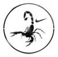 Ein stilisierter Skorpion innerhalb eines runden Rahmens mit dem Nike-Logo.