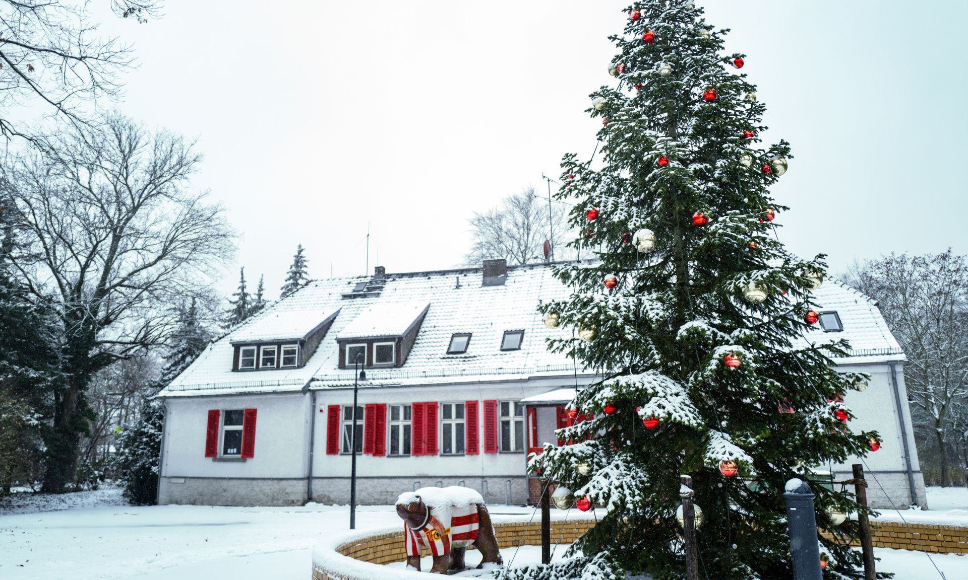 Schneebedeckte Landschaft mit einem Weihnachtsbaum, geschmückt mit roten und weißen Kugeln, und einem weißen Haus im Hintergrund.