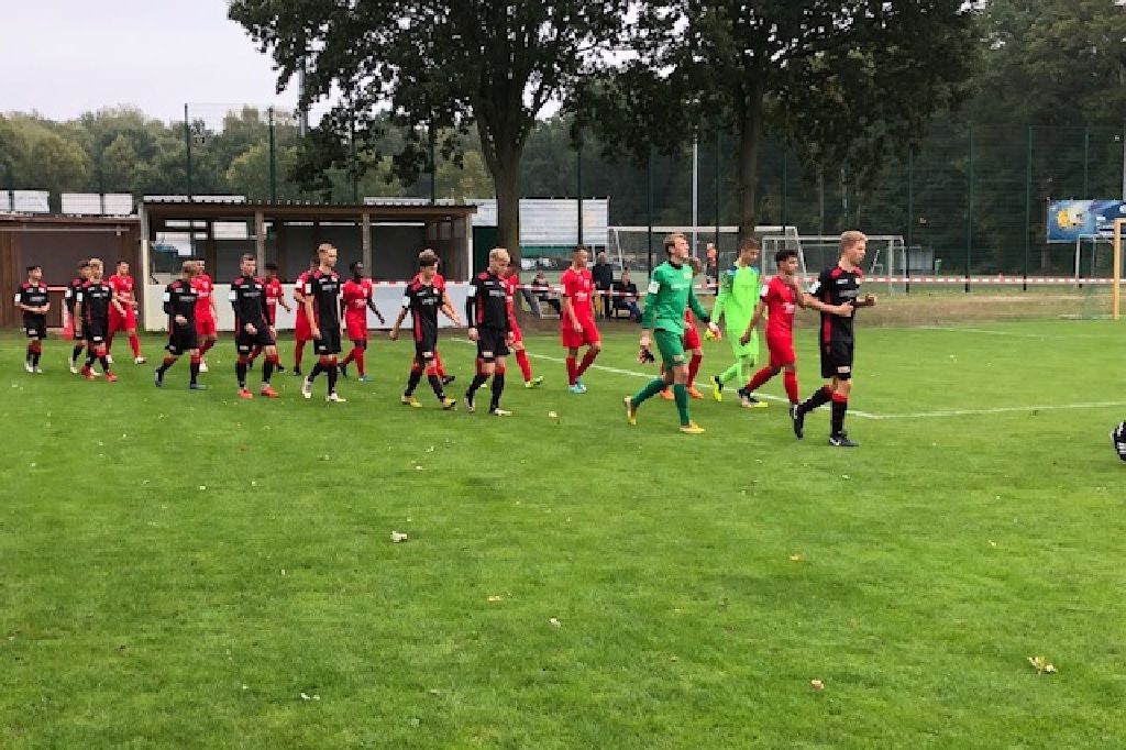 Die Fußballmannschaften tragen rote und schwarze Trikots. Sie gehen auf das Spielfeld. Das Spielfeld ist grün.