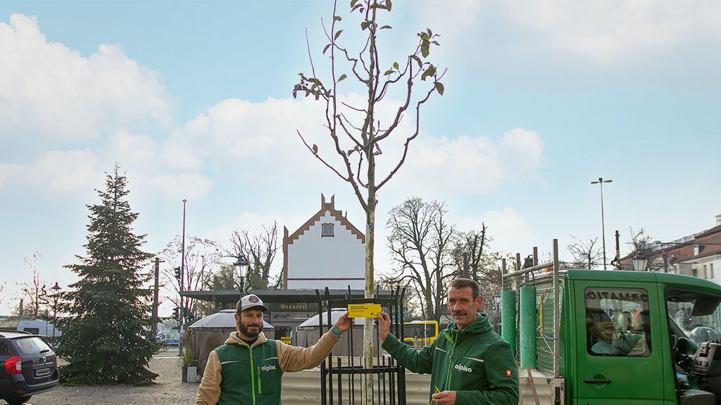 Zwei Männer stehen neben einem neu gepflanzten Baum auf einem Platz, im Hintergrund sind Gebäude und ein Fahrzeug zu sehen.