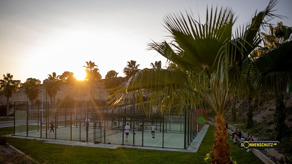 Sportplatz mit Padel-Tennis-Courts im Freien, umgeben von Palmen, bei Sonnenuntergang.