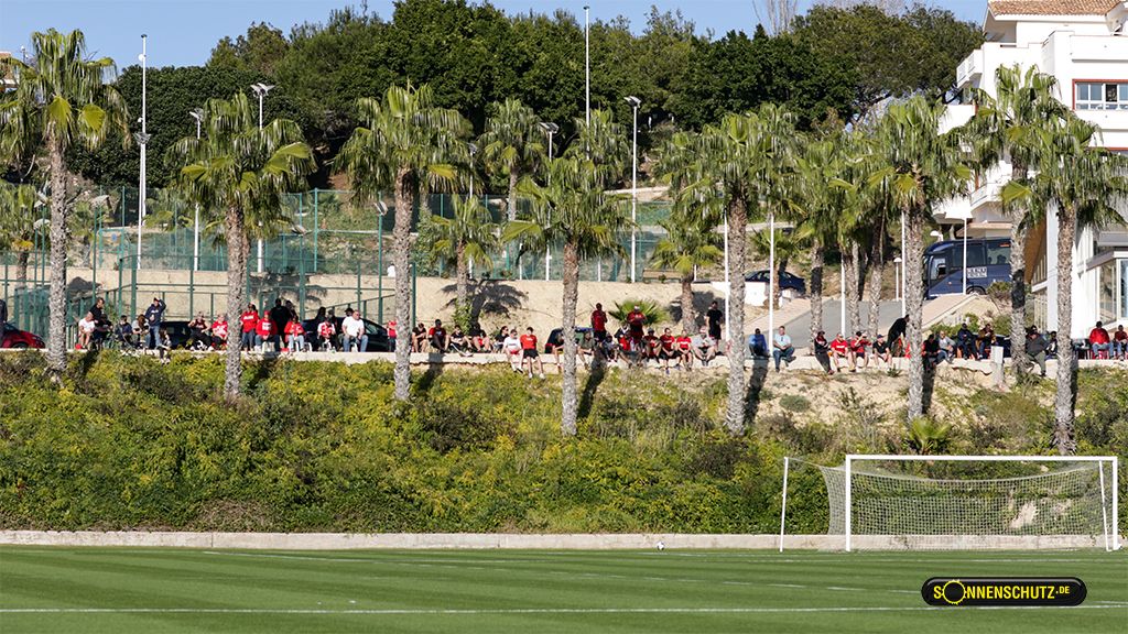 Menschen sitzen auf einer Wiese neben einem Fußballfeld, umgeben von Palmen und weiteren Bäumen.
