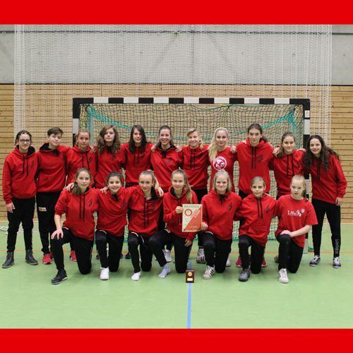 Mannschaftsphoto einer Jugendhandballmannschaft in roten Kapuzenpullis, posierend vor einem Handballtor mit einem Pokal in der Mitte.