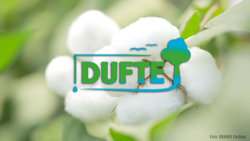 Logo von "Dufte" mit einer Hintergrundansicht von Baumwollkapseln und grünen Blättern.