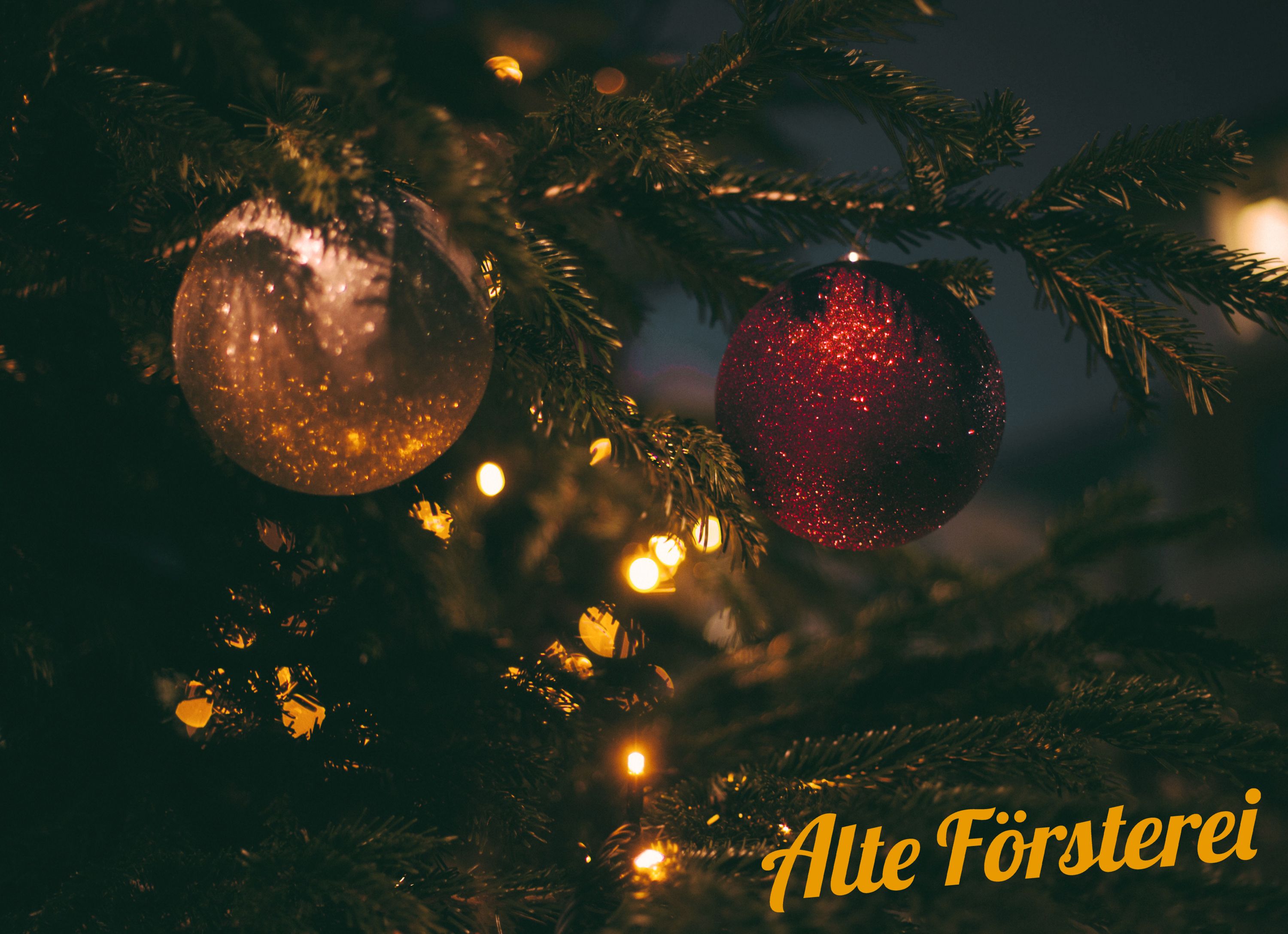 Zwei glänzende Weihnachtskugeln, eine goldene und eine rote, hängen an einem Weihnachtsbaum mit Lichtern im Hintergrund.