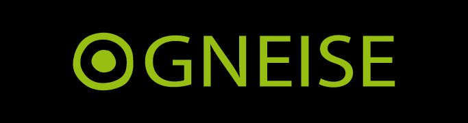 GNEISE Planungs- und Beratungsgesellschaft mbH